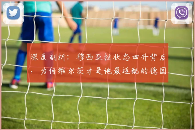 深度剖析：穆西亚拉状态回升背后，为何维尔茨才是他最适配的德国队搭档？（附2026展望）